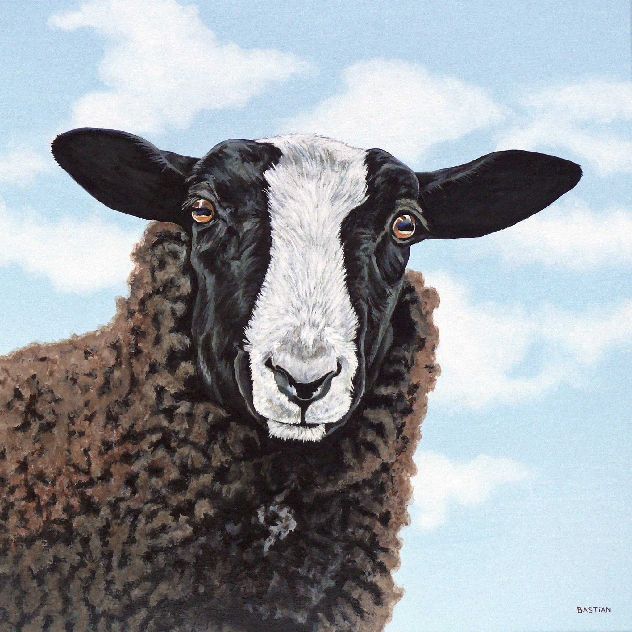 Sheep